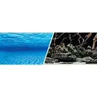 Marina 3d-aquarienhintergrund Mit Meeres-und Naturmotiv