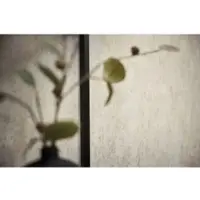 Living Walls Vliestapete "struktur Vliestapete in Beton-Optik Farbvarianten" urban strukturiert