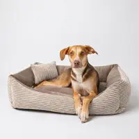 4L Textil MOLLY Kuscheliges Cord Hundebett kleine Hunde Hundekorb Cord Hundekissen flauschig Hundekörbchen Cord (80x60 cm, Braun)