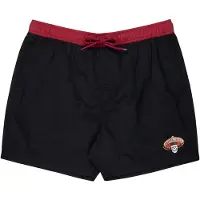 Santa Cruz Guzman Skull Badeshorts