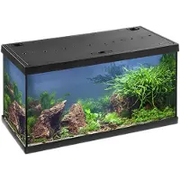 Eheim aquastar 54 LED Aquarium, 54 Liter, 60x30x30 cm, schwarz, inkl. LED, Filter & Heizer