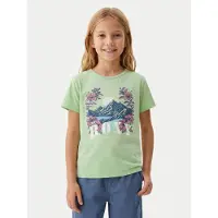 Roxy T-Shirt Lily Vintage ERGZT04140 Grün Regular Fit 104