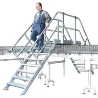 Euroline 512 Überstieg 45° 800mm Stufenbreite 2x4 Stufen Stahl Gitterrost