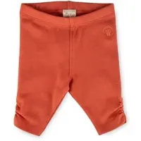 Sigikid Capri-Leggings Savanne in Rost-Orange | Gr.: 80