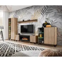 ASM-Moebel Wohnwand Anbauwand LIAM mit Lamellen und Bio Ethanol Kamin LED und Push - Click