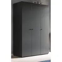 Inn.Furn Kleiderschrank "Carter" in grau Drehtürenschrank 3-türig 120 x 176 cm, zusätzliche Einlegeböden