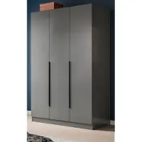 Inn.Furn Kleiderschrank "Swan" in grau Drehtürenschrank 3-türig 120 x 181 cm
