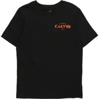Calvin Klein T-Shirt Small Chest LVCKTJA40B Schwarz Regular Fit