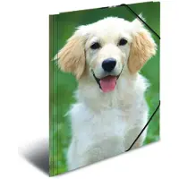 Herma 3 Zeichenmappen DIN A3 Hunde