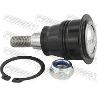 FEBEST Traggelenk Hinten oben für FORD ECOSPORT 2120-CRR