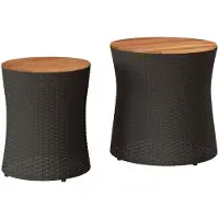 vidaXL Garten-Beistelltische 2 Stk. mit Holzplatte Schwarz Poly Rattan