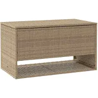 vidaXL Outdoor-Kissenbox Beige 100x55x55,5 cm Poly Rattan