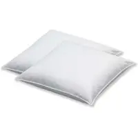 Spessarttraum 2er-Set Federnkissen Kleinkissen "Fritzi" in weiß | Gr.: 50x50 cm