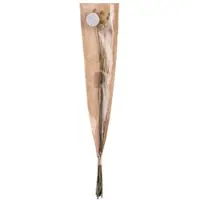 Butlers Trockenblumen Craspedia FLOWER MARKET in Braun | Gr.: onesize
