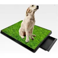 Markenlos Hundetoilette für die Wohnung, Hundeklo für Zuhause, Töpfchentrainingsmatte mit Urintrennwand, mit ausziehbarem Tablett, leicht zu reinigen, ideale Indoor-Outdoor-Toilette für Hunde (64 x 51 cm)