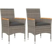 vidaXL Gartenstühle mit Kissen 2 Stk. Grau Poly Rattan