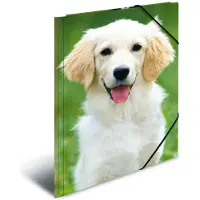 Herma 3 Sammelmappen DIN A4 Hunde