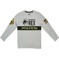 Jurassic World Langarmshirt Longsleeve in Grau | Gr.: 164