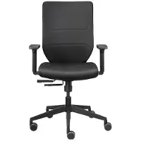 Dauphin Bürostuhl to-sync work comfort, mit Armlehnen, Synchronmechanik, Komfortpolstersitz, schwarz/schwarz