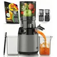 Lebenlang Entsafter LBL3077G, Slow Juicer, 135 mm Einfüllöffnung, grau, 250 Watt, 500 ml