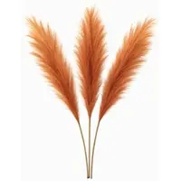 Layba Künstliches Pampasgras Deko in Orange Boho - 3 Stück 100cm, Ideal für Hochzeitsdeko, Wohnzimmer & Schlafzimmer