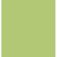 Rako Color One Wandfliese Hellgrün 20x20 cm matt WAA1N465.1