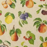 Home Fashion , Fruit Lovers, Cocktail-Servietten aufgefaltetes Maß 25 cm x 25 cm, im Viertelfalz, 20 Stück pro Pack, 12 Pack pro Karton