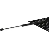 RIDEX 219G0002 Gasfeder Heckklappendämpfer passend für PEUGEOT 307 SW (3H) 491mm