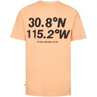 Petrol Industries Bedrucktes Jersey-T-Shirt Roca in Orange | Gr.: 152