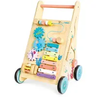Hape Iti’s Lauflernwagen Aus Holz
