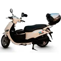 Shad Yamaha Delight 115 Topcase Heckmontage