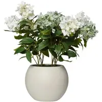 VIVANNO Kunstpflanze Hydranga Mit Dekotopf 60 cm x 60 cm x 60 cm Creme
