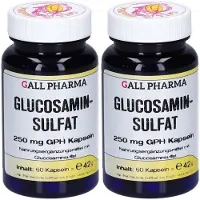 GALL PHARMA Glucosaminsulfat 250 mg GPH Kapseln 2x 2x60 St