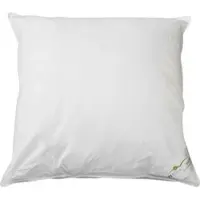 BETTWARENSHOP Daunenkissen Exclusiv 60% Daunen, 40% Federn 70x90 cm