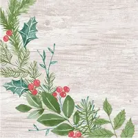 Duni Dunisoft-Servietten 40x40cm Winter Greenery
