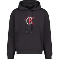 Calvin Klein Jeans Eu 350 Terry Graphic Kapuzenpullover