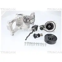 TRISCAN Wasserpumpe 8600 11066H