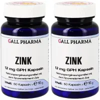 GALL PHARMA Zink 12 mg GPH Kapseln 2x 2x60 St
