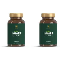Vitactiv Ingwer Extrakt Kapseln 2x 2x90 St
