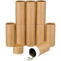 Markenlos 10 Stück Kraftpapierröhren, Aufbewahrungsboxen aus Papier für ätherische Öle, mit Deckel, zylindrische Verpackung für Kosmetiktee, kleines Geschenk, 50 ml (hellgelb)