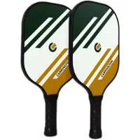 Lynx Sport Fiberglass Pickleball-set