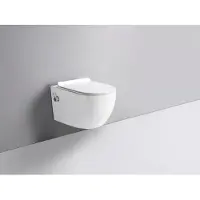 Glasdeals spülrandloses TAHARET Dusch WC inkl. Armatur und Soft-Close Sitz