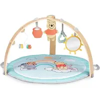 Bright Starts Winnie-the-Pooh Hangout Spielmatte