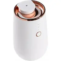 Typecat Wasserloser ätherischer Öl-Aromatherapie-Diffusor für Büro, Desktop, tragbar