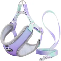 Typecat Escape Proof Cat Harness and Leash Set Adjustable Mesh Dog Harness Ves