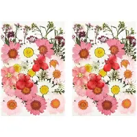 ISTOVO 72 StüCk Echte Getrocknete Gepresste Blumen BläTter BlüTen BläTter Rosa