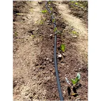 Markenlos Perlschlauch 7,5 m ohne Druck für Regentonnen und Regenfässer – nachhaltig und ökologisch – wassersparender Tropfschlauch für die einfache Bewässerung im Garten mit Schnellanschluss und Endstopfen