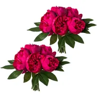 Creativ Green Kunstpflanze "Bouquet aus Peonien" 2er Set