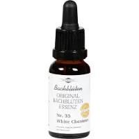 MCM KLOSTERFRAU Vertr. GmbH Bachblüten Murnauer White Chestnut Tropf 20 ml