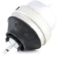 RIDEX Motorlager Vorne Rechts für VW Golf IV Schrägheck (1J1) 247E0006